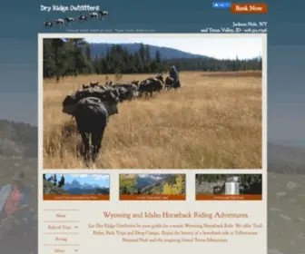 DRyridge.com(Horseback Riding) Screenshot