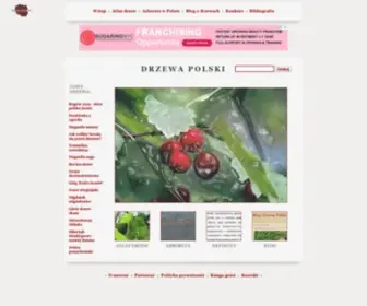 Drzewapolski.pl(Drzewa i ich rozpoznawanie) Screenshot