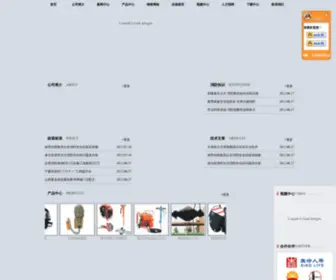 Dsaf119.com(北京东方强晟科技有限公司) Screenshot