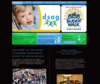 Dsagbr.org(Down Syndrome Awareness Group) Screenshot