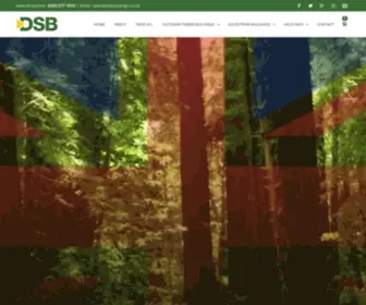 Dsbuildings.co.uk(The DSB group) Screenshot