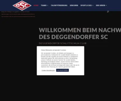 DSC-Nachwuchs.de(DSC Nachwuchs) Screenshot