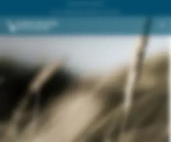 DSDK.dk(Dansk Selskab for Dagkirurgi) Screenshot