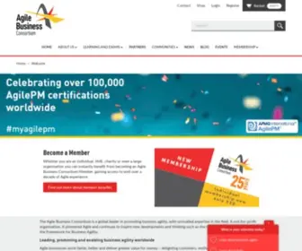 DSDM.org(DSDM) Screenshot