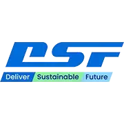 DSF.kz Logo