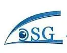 DSG-Glass.com Favicon