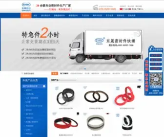 DSHMF.com(广东东晟密封件公司) Screenshot