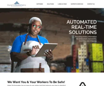 Dsisales.com(Dynamic Systems Inc) Screenshot