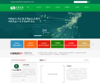 DSJT.com(大商集团) Screenshot