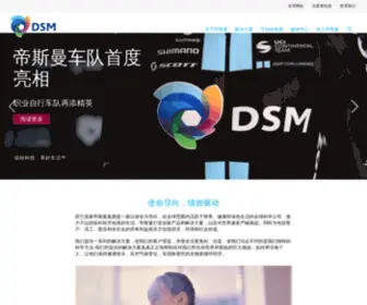 DSM.com.cn(DSM) Screenshot