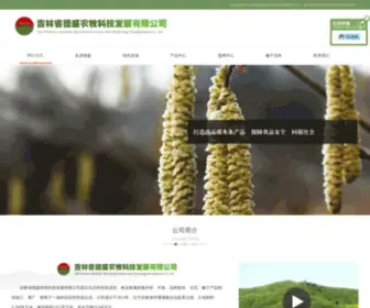 DSNMKJ.com(BOB真人(中国)有限公司) Screenshot