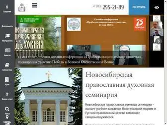 DSNSK.ru(Новосибирская) Screenshot
