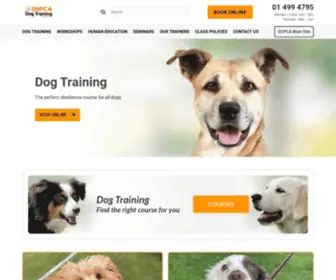 DSpcadogtrainingtest.net(DSPCA Dog Training) Screenshot