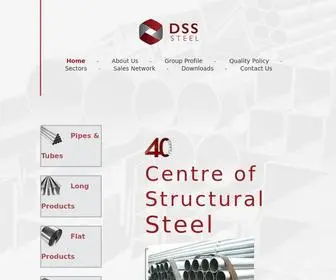 DSSsteel.com(DSS) Screenshot