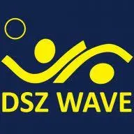 DSZ-Wave.nl Favicon