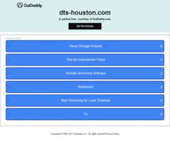 DTS-Houston.com(DTS WORLD CARGO SERVICES // Houston) Screenshot