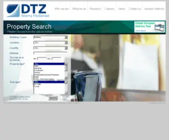 DTZSF.com(DTZSF) Screenshot