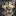 Duck-NR-Blog.com Favicon