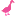 Duckduckpoodle.com Favicon