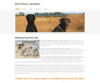 Duckriverlabradors.com(Duck River Labradors) Screenshot