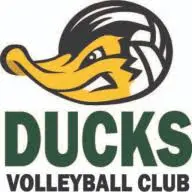 Ducksvolleyball.ca Favicon