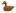 Duckwells.com Favicon