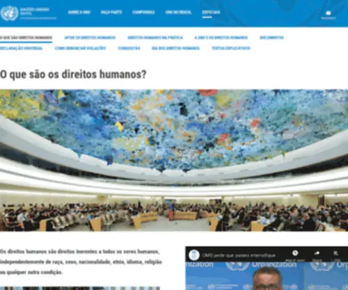 Dudh.org.br(Direitos Humanos) Screenshot