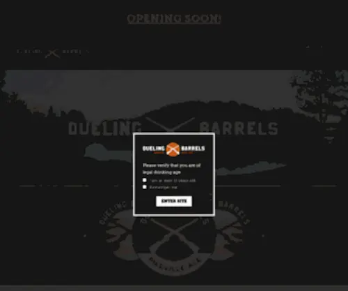 Duelingbarrels.com(Dueling Barrels) Screenshot