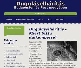 Dugulaselharitasprofi.hu(Duguláselhárítás) Screenshot