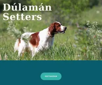 Dulamansetters.ca(Dúlamán) Screenshot