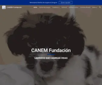 Dulcesdetectores.com(LandingCANEM) Screenshot