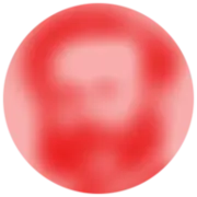 Dunant-Museum.ch Favicon