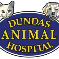 Dundasanimalhospital.ca Favicon