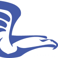 Dundeehawks.co.uk Logo