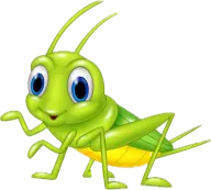 Duran-Landscaping.com Favicon