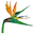 Durbanfloralart.co.za Favicon