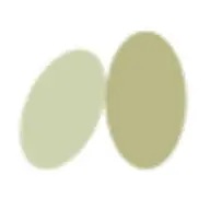 Dus.si Favicon