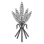 Dustedvalley.com Favicon