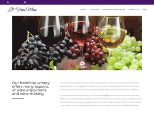 Dvinewineusa.com(About D'Vine Wine) Screenshot