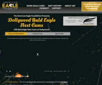 Dweaglecams.org(Dollywood Bald Eagle Nest Cam) Screenshot