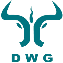 DWgroup.com.cn Logo