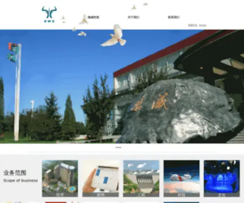 DWgroup.com.cn(德威控股集团有限公司) Screenshot