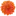 Dwih-Tokyo.org Favicon