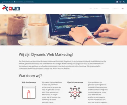 Dwmarketing.com(Dynamic Web Marketing) Screenshot