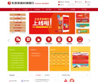 DYLsbank.com(东营莱商村镇银行) Screenshot
