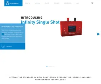 Dynaenergetics.com(Perforating systems) Screenshot