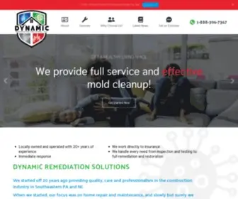 Dynamicrs-NJ.com(Dynamic Remediation Solutions) Screenshot