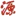 DYRBW.com.cn Favicon