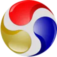 Dyso.cn Logo