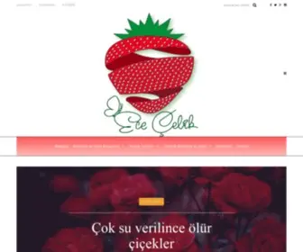 Dytececelik.com(Uzman Diyetisyen Ece ÇELİK’in Web Sitesi) Screenshot